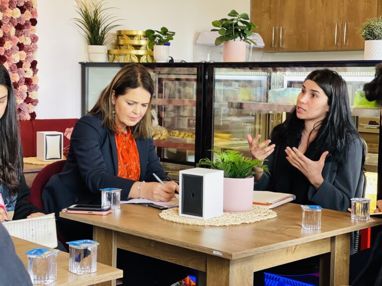 FYF hosts Dutch delegation & Yezidi organizations