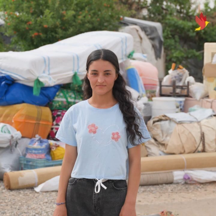 Instagram post from chonky_animals_fyf. This post is in position 3.